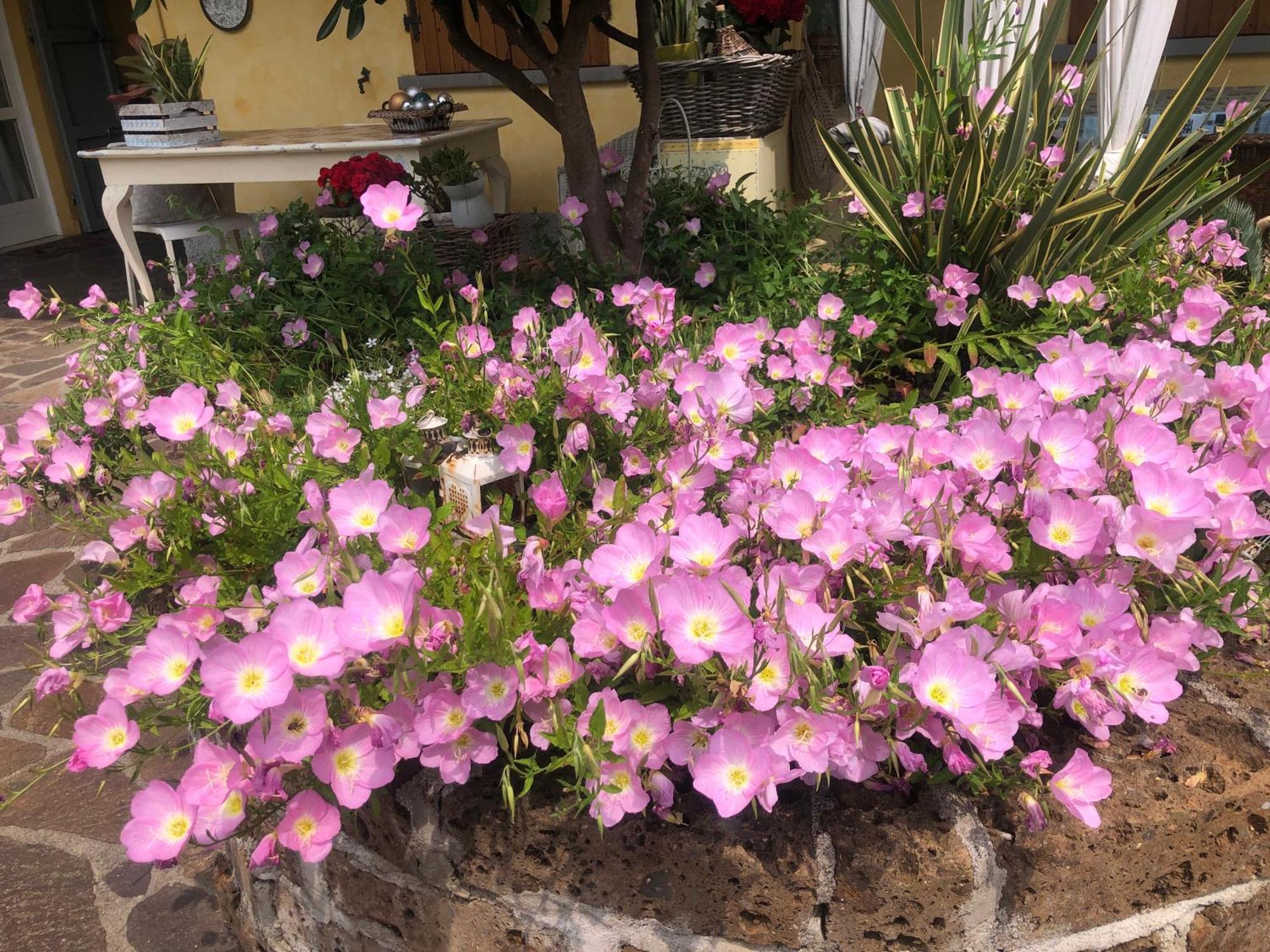 B & B Da Giusy Corte Franca Dış mekan fotoğraf